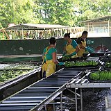 Costa Rica20150330-2151-0380